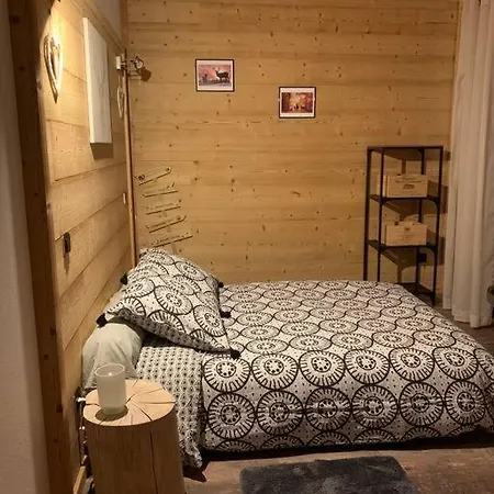 Апартаменты De Montagne Cosy Angoustrine